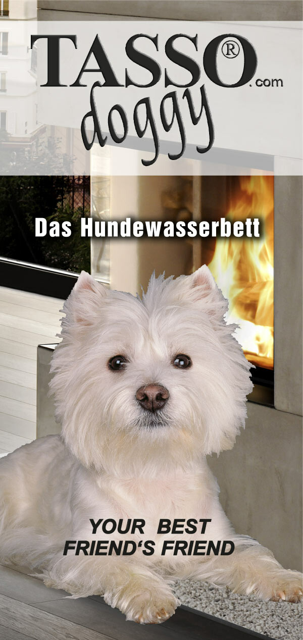 Flyercover: Wasserbett für Hunde